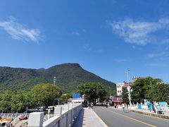 -杨梅坑