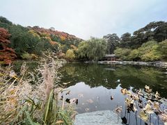 -香山公园