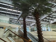 -广州白云机场雅高铂尔曼大酒店
