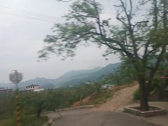 -河口景区