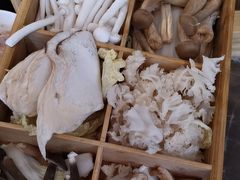 -芭夯兔·兔肉汤锅(新都店)