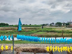 -乡乐园蟹庄·阳澄湖农家乐