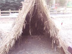 -沕沕水生态风景区