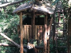 -昆明动物园