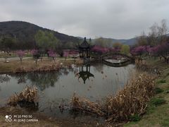 -石塘人家