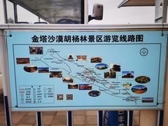 -金塔沙漠胡杨林景区