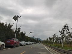 -王家凉皮(文化新天地店)