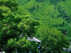 -鹿亭中村