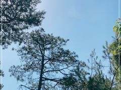 -剑门关风景区