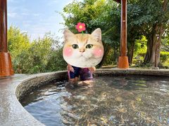 -河源御临门度假村温泉