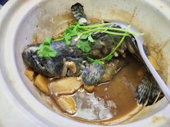 -鑫鸿达·海鲜闽菜热炒小馆(中山路店)