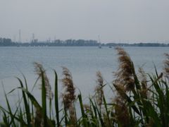 -漕湖湿地公园
