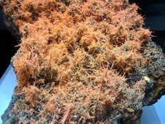 -湖南省地质博物馆