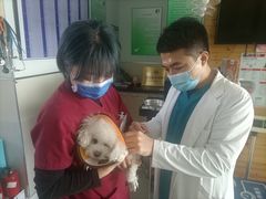 -美联众合动物医院(唯恩分院)