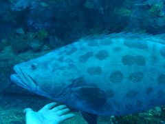 -成都浩海立方海洋公园