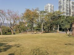-南宁南湖公园