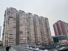 -芍药居北里