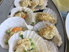 -大湾区中央湿地公园-十九涌