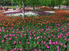 -长春公园(普阳街道)