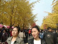 -辽宁大学(崇山校区)