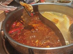 -菌自在·云南野生菌火锅(长安万达店)