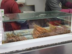 -辽B·小串(总店)