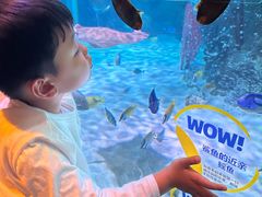 -沈阳海洋探索中心