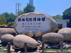 -陕西自然博物馆