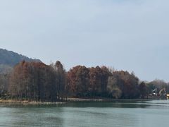 -长广溪湿地公园