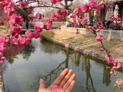 -三里河公园