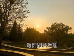 -石家庄市植物园