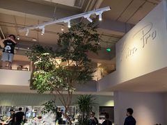 -KimPro 辛普乐概念韩餐