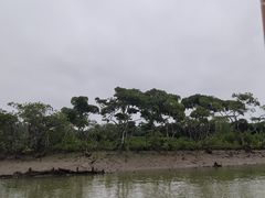 -东寨港红树林旅游区