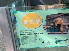 -深圳野生动物园