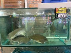 -绿雅居原生态农庄(小涌店)