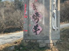 -老张烤羊(王哥庄店)