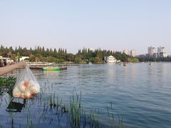 -食膳公园包子铺(烈士公园店)