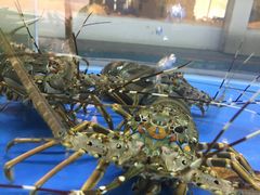 -龙溪海鲜酒家(溪涌店)