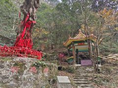 -燕子河大峡谷天坑仙境