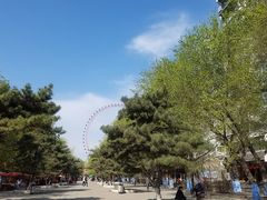 -哈尔滨文化公园