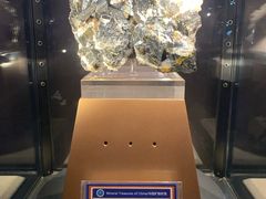 -中国地质大学逸夫博物馆