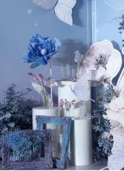 点击看大图 -米迪婚礼