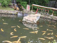 -大连天门山国家森林公园