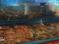 -望海潮海鲜店 特色家常菜(在海一方店)