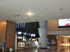 -幸福蓝海国际影城(河西店)
