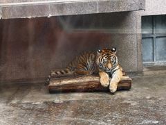 -西安秦岭野生动物园