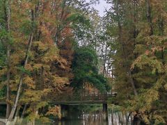 -桤木河湿地公园