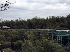 -陶祖圣境风景区