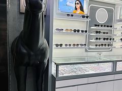 -中国丹阳眼镜城