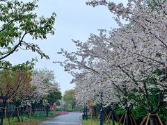 -浦江二号·独栋江景餐厅(滨江大道店)